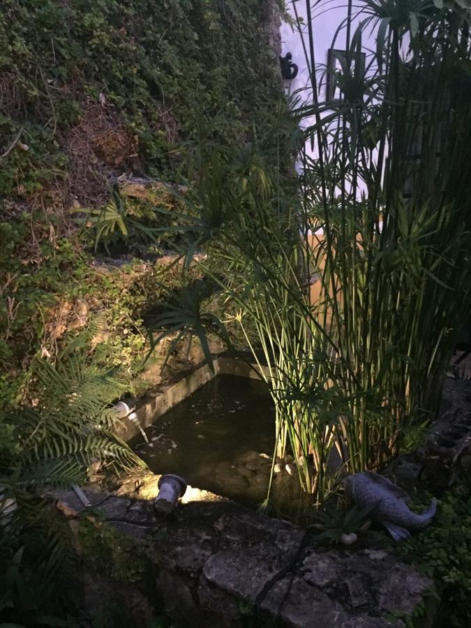 Hotel San Miguel Arcangel イサマル エクステリア 写真